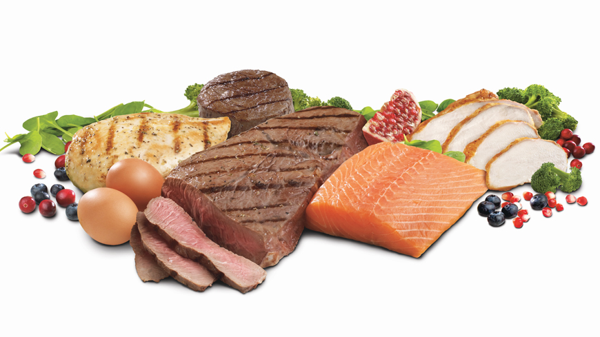 makanan berprotein